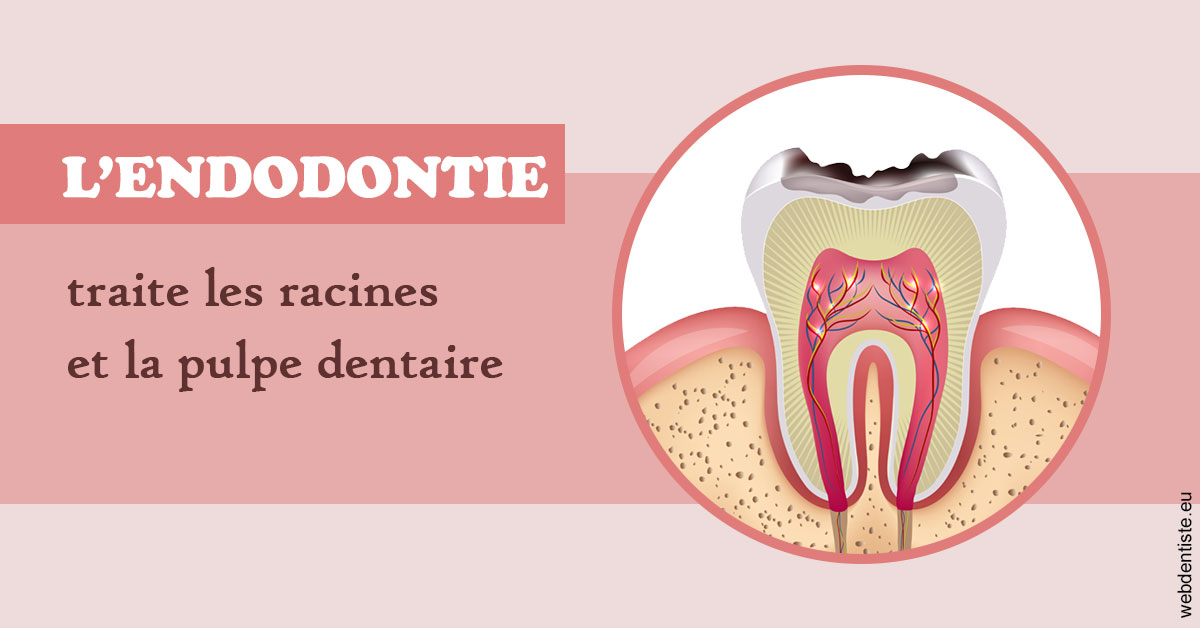 https://dr-valerie-travert.chirurgiens-dentistes.fr/L'endodontie 2